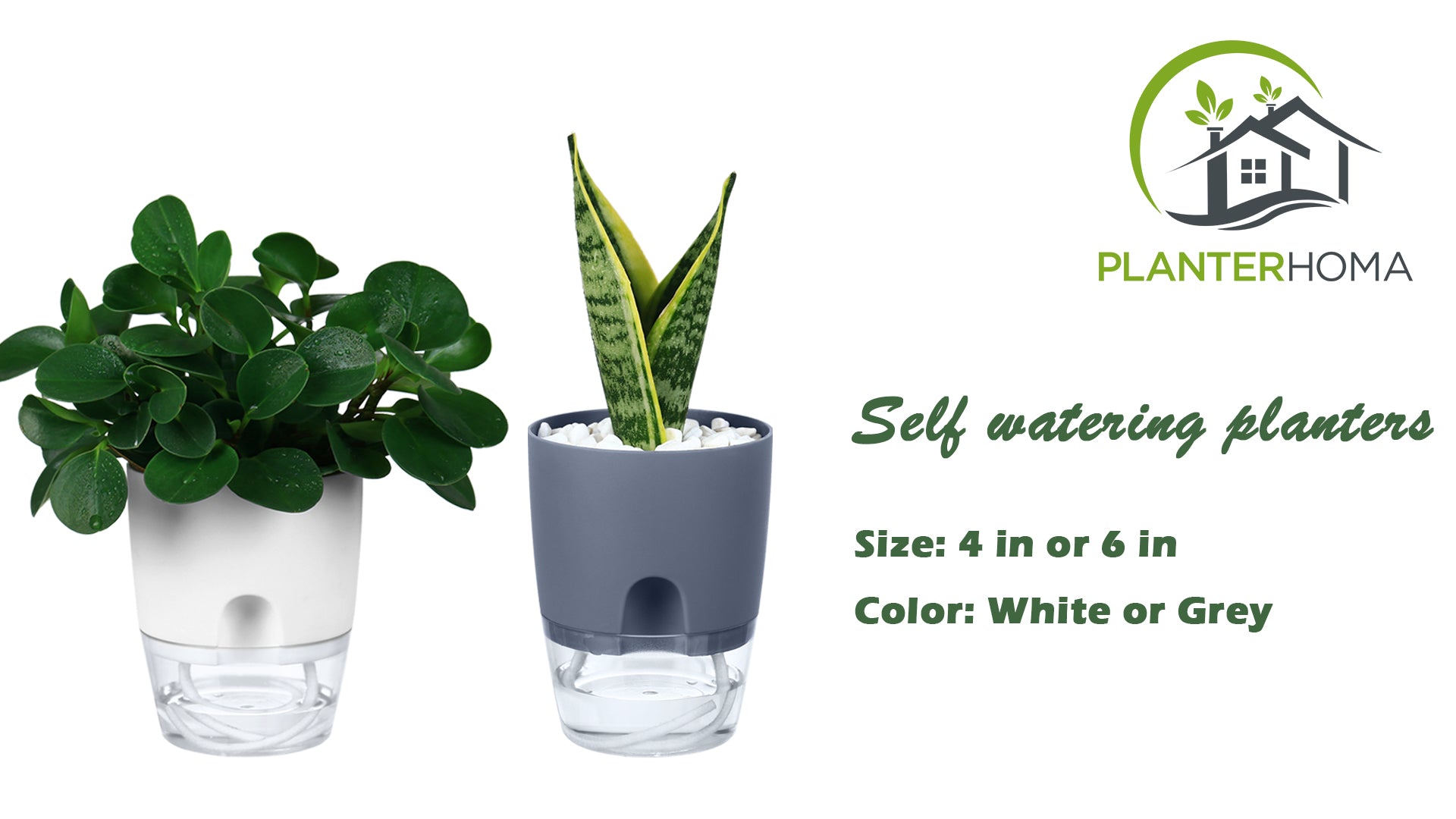 How self-watering pots work? planterhoma