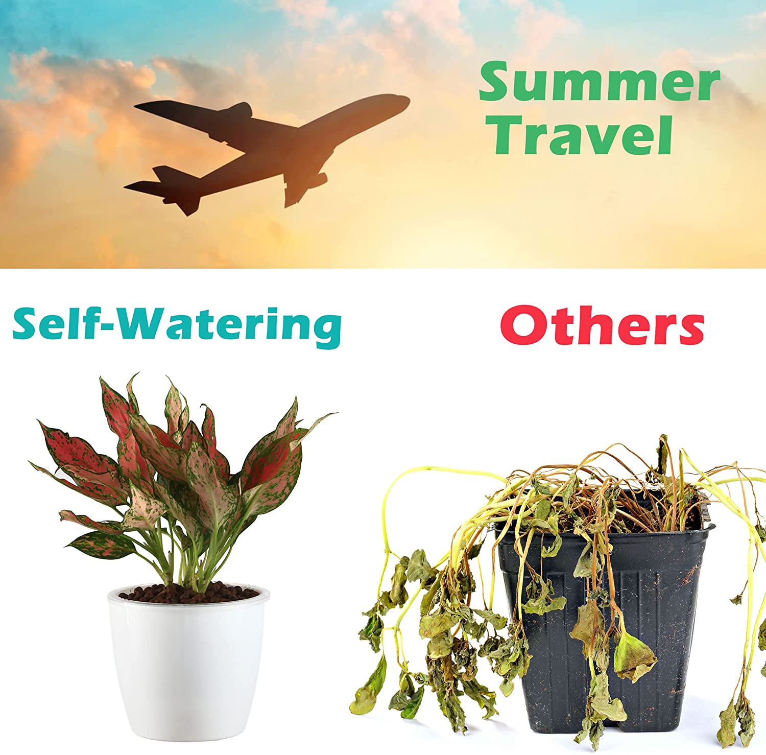 Grow plants in self watering pots while traveling