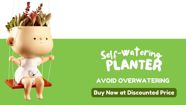Cute Face Planters Avoid Over Watering