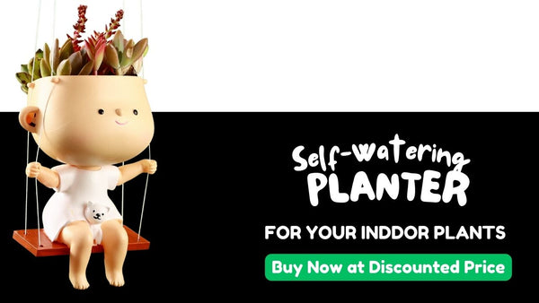 Cute Face Self-Watering Planters