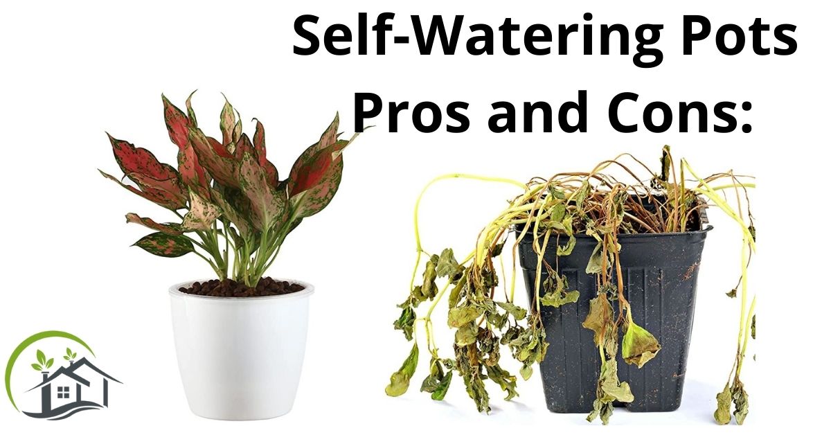 Self watering pots pros and cons