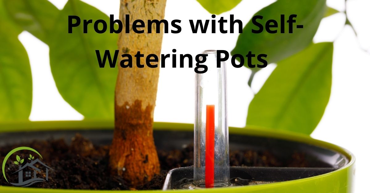 Problems with self watering pots