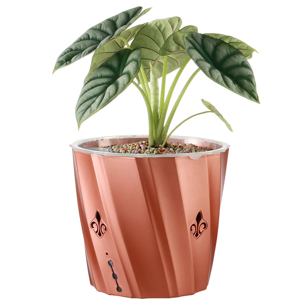 Self watering planter for jade plants