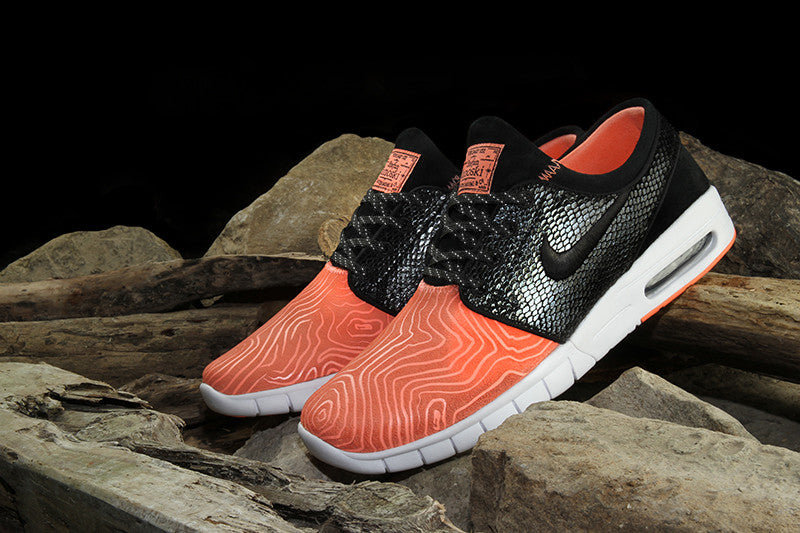 nike sb premier fish ladder