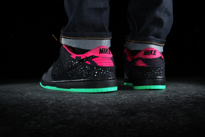 nike sb northern lights