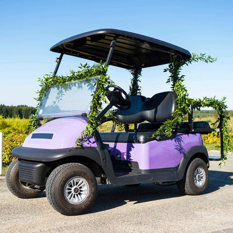 Golf Cart Front Seat Cushion & Backrest for Golf Cart Club Car Precedent (2004-2011) Premium Sponge Comfortable Soft