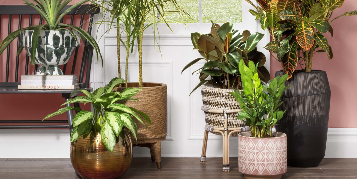 PLANTERS FOR INDOOR PLANT – HOW TO SELECT A PLANTER FOR YOUR PLANT AND YOUR INTERIOR