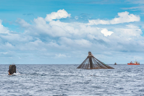 An offshore aquaculture farm