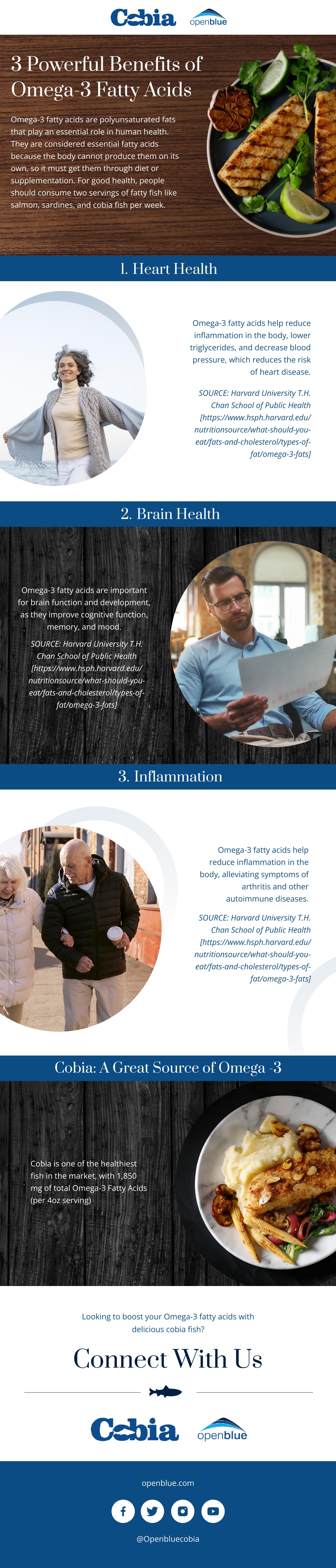 3 Powerful Benefits Of Omega-3 Fatty Acids Infograph