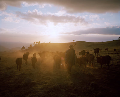 Simien mountains  IV Ethiopia