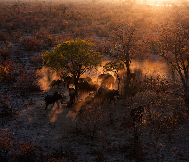 Dawn  I northern Botswana