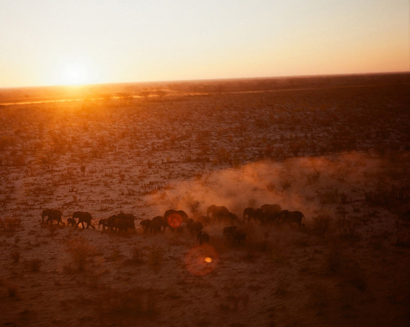 Dawn  II northern Botswana