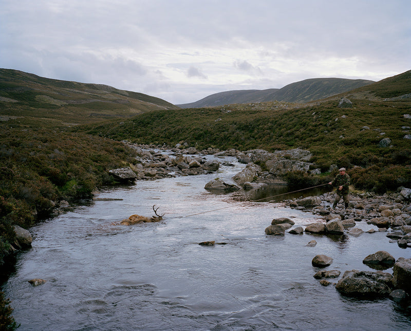 Recovering the beast Invercauld Estate Braemar Scotland