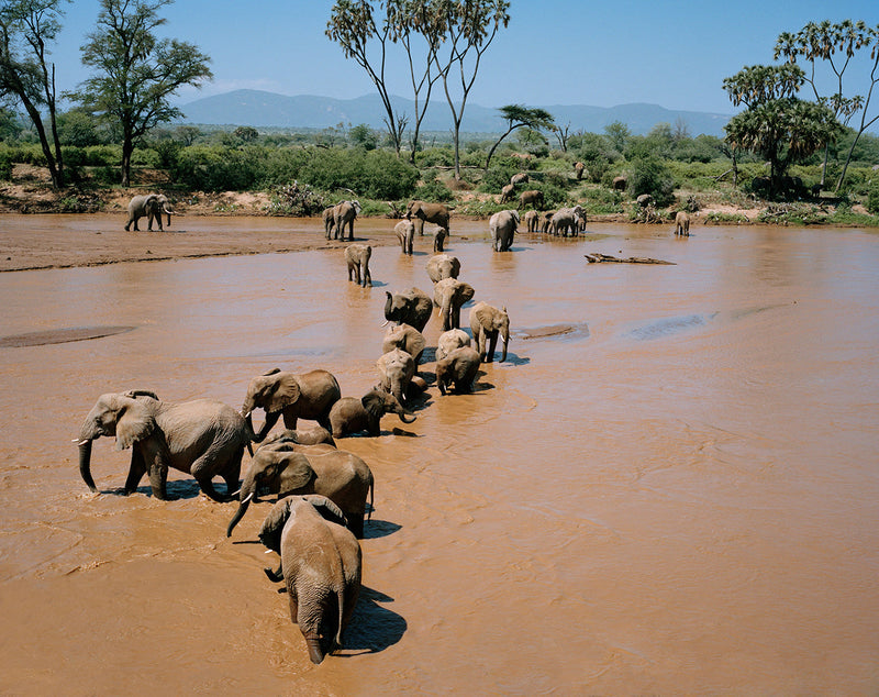 Untitled Ewaso Nyiro River northern Kenya