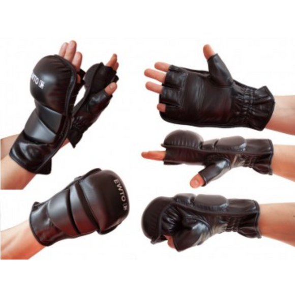 Portræt Indgang Insister Black Wing Tsun Ewto Special 2 glove – Wing Tsun Shop