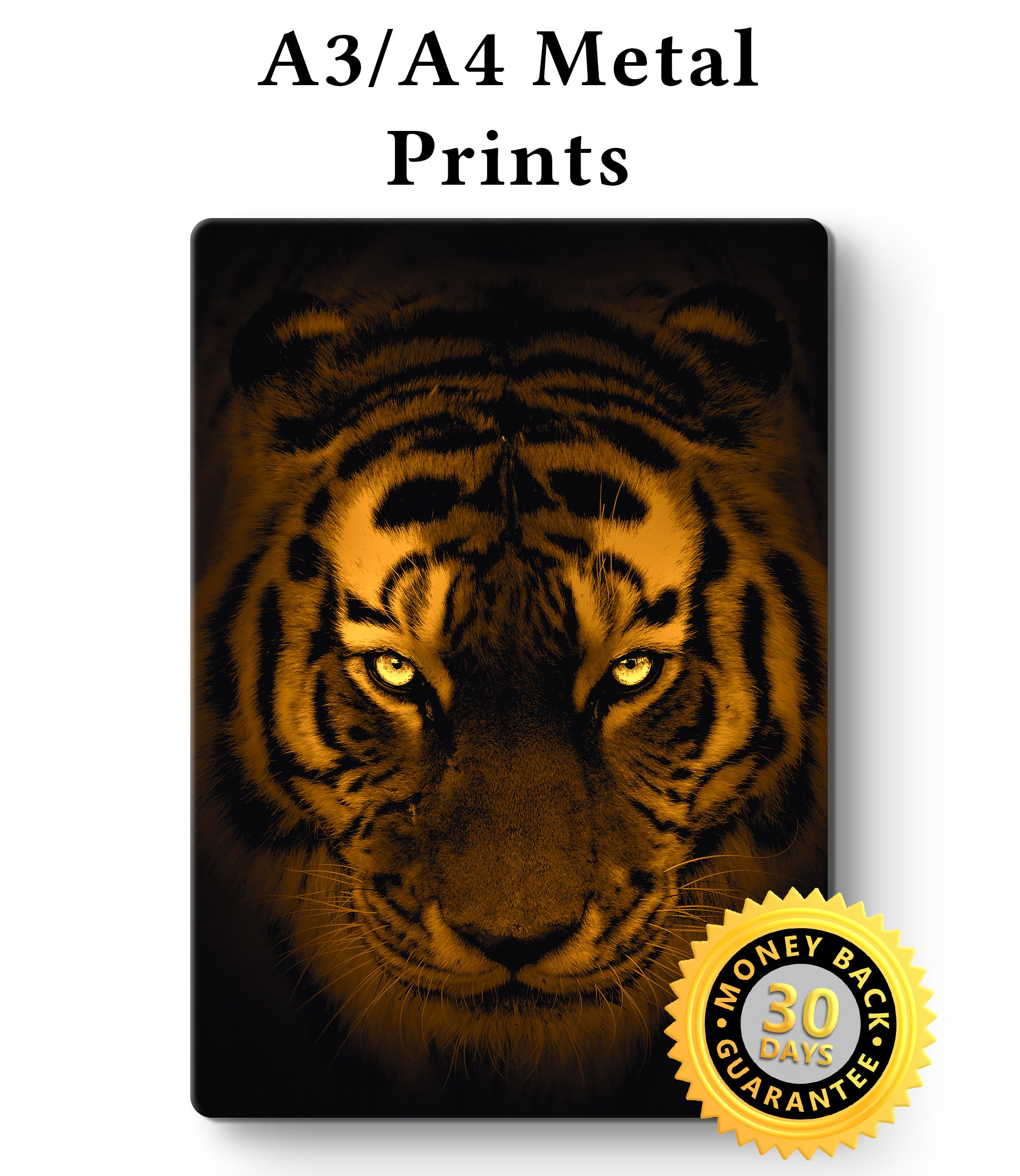 Tiger Print - Wall Art - Metal Poster Print