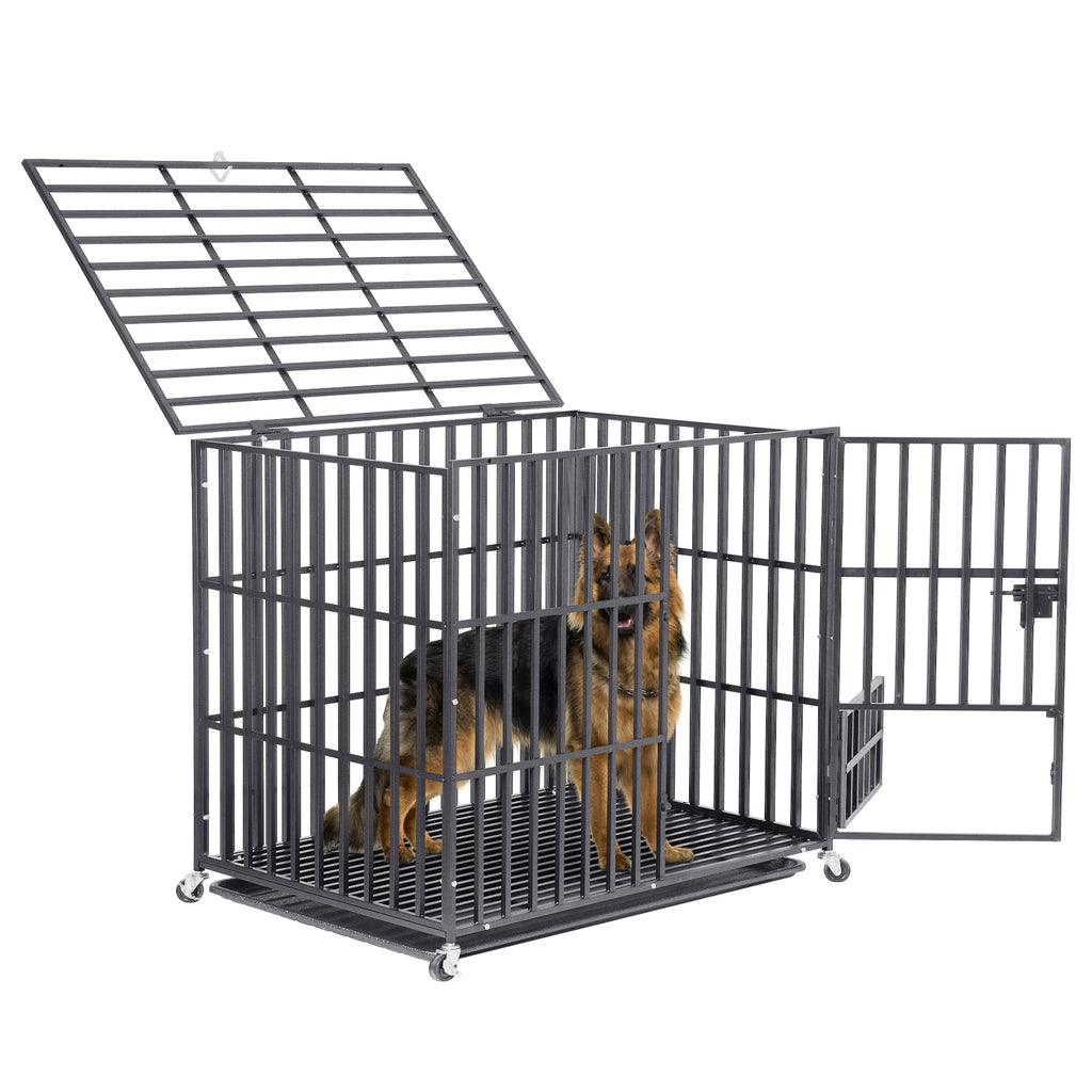 42 dog crates for sale