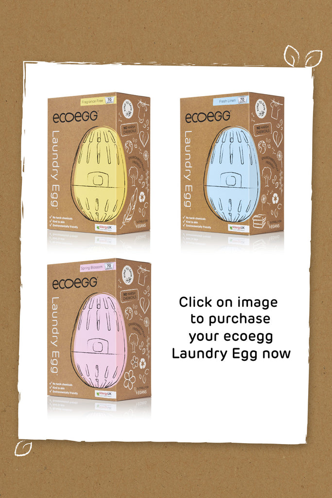 Buy Ecoegg Laundry Egg Now