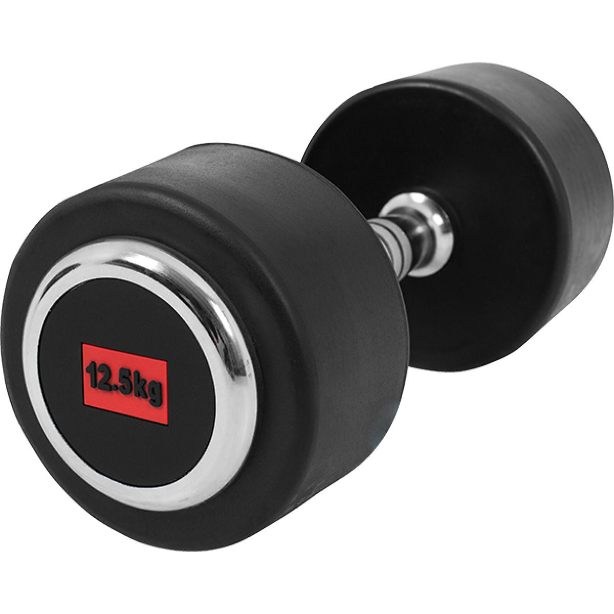 Dumbell 12,5 kg (1 x 12,5 kg)