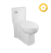 Boulevard Toilet requires alternative installation & parts