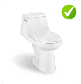 N2420 Toilet is compatible