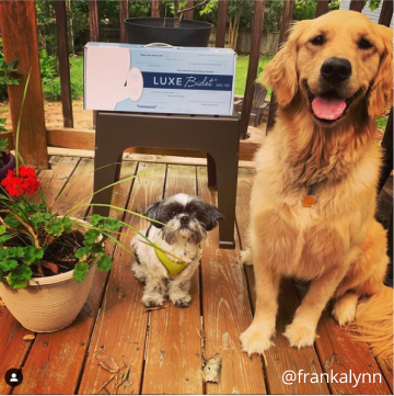 A smiling dog sitting next to a LUXE Bidet box