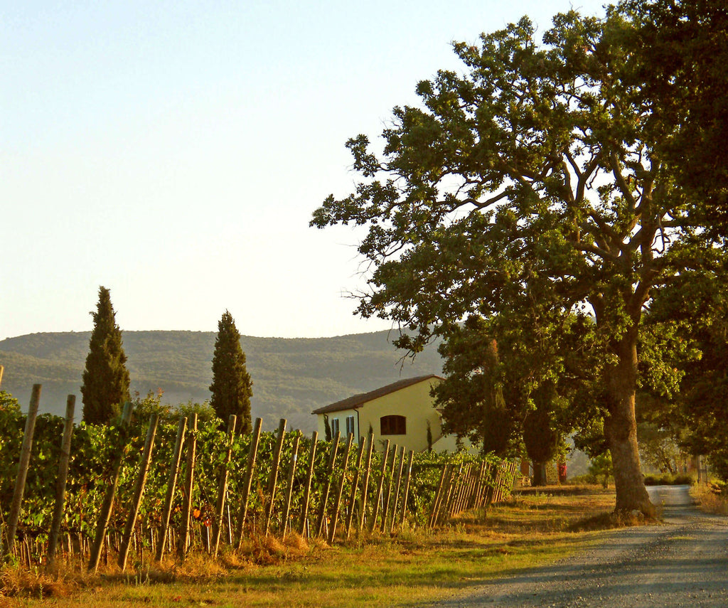 Maremma Podere San Cristoforo