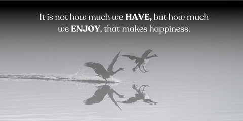 Inspirational quote: It is not how much we have, but how much we enjoy, that makes happiness.