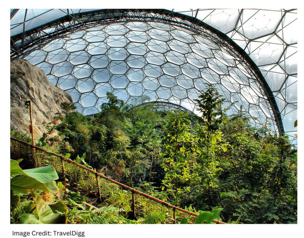 Biodome structured roof over lush green tropical foliage