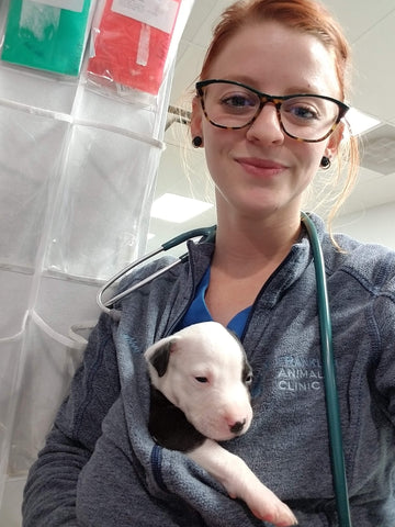 vet tech holding a puppy