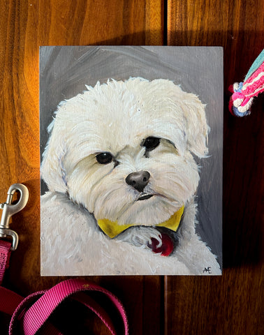 oil painting of a commissioned dog portrait of a shichon