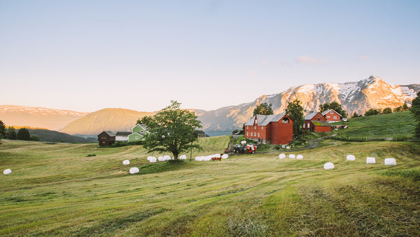 Idyll på Lemme på Voss