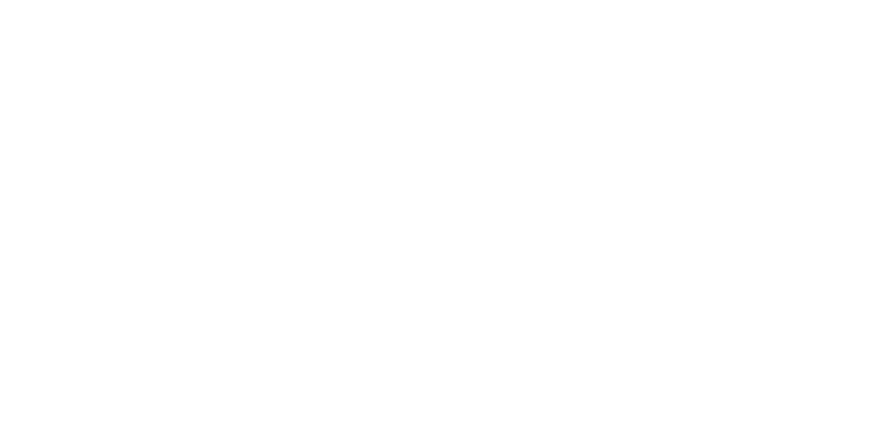 logo-flanders-investment