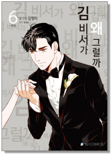 What's Wrong with Secretary Kim Comic Book