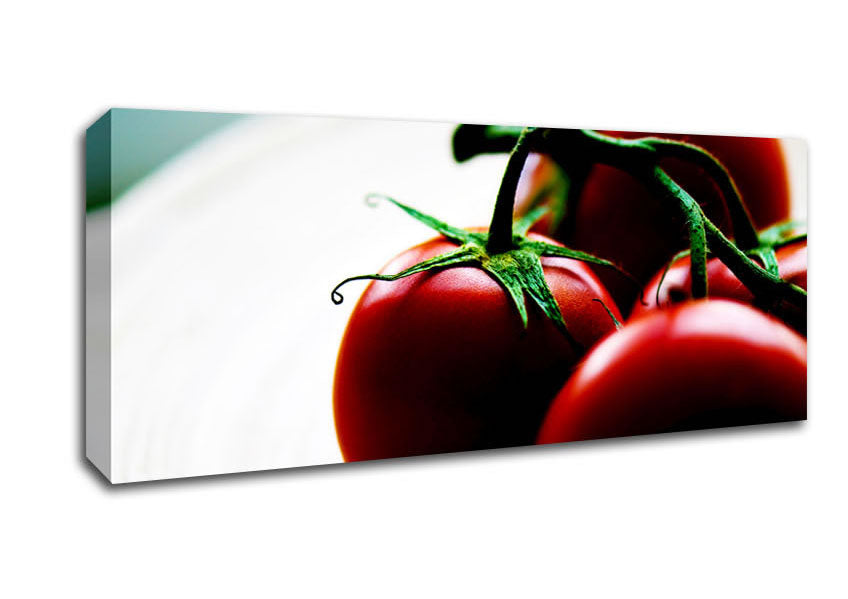 Picture of Tomato Stalk Panoramic Canvas Wall Art