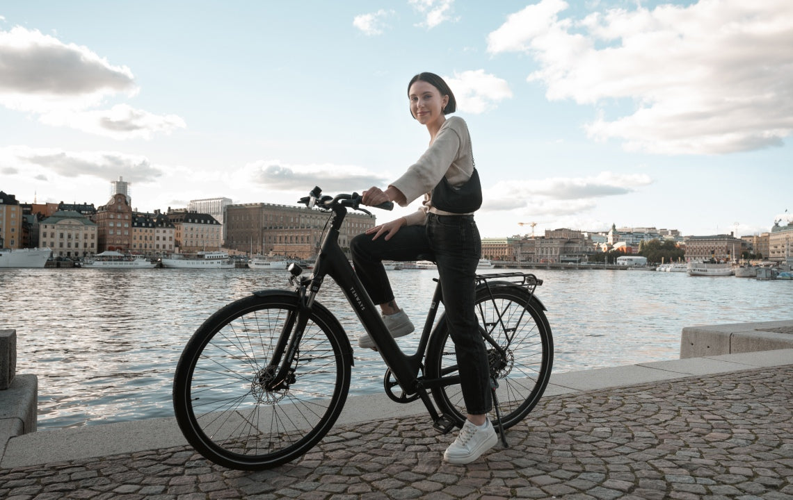 CGO800S_TENWAYS_ebike