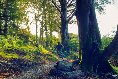 Mountain biking trip slieve bloom