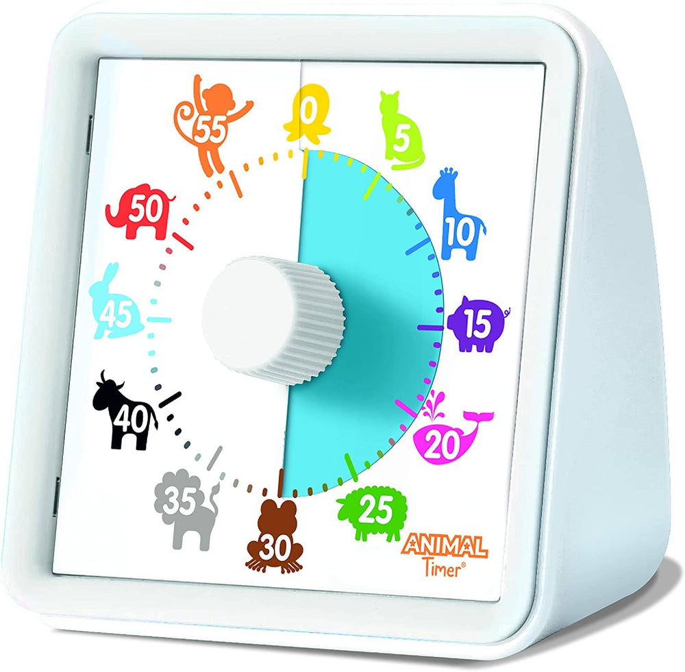 Time Timer PLUS® 20 Minute Timer  Education Station - Teaching Supplies  and Educational Products