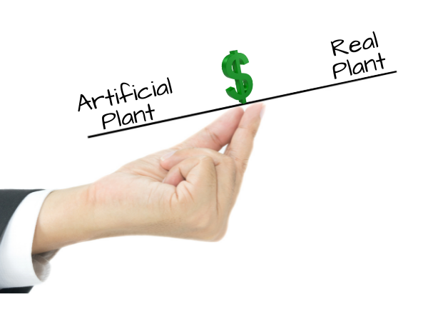 Artificial vs Real Plant Cost Comparison