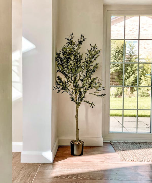 faux olive tree indoor