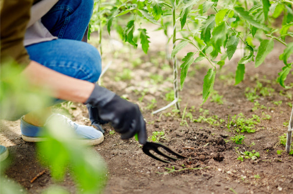 Feed Your Soil 