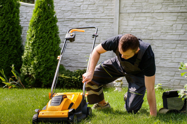 Fixing your lawn