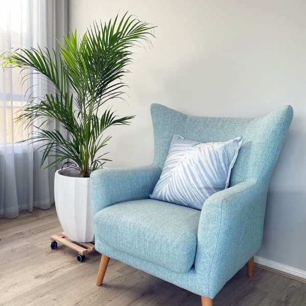 How to Style your Artificial Palm Plant
