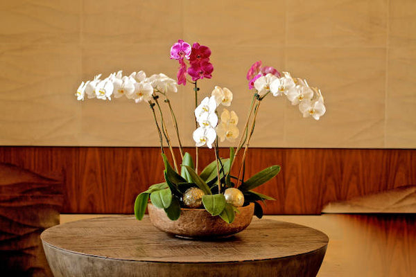 Style Artificial Orchids