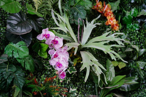 artificial plants look good with orchids