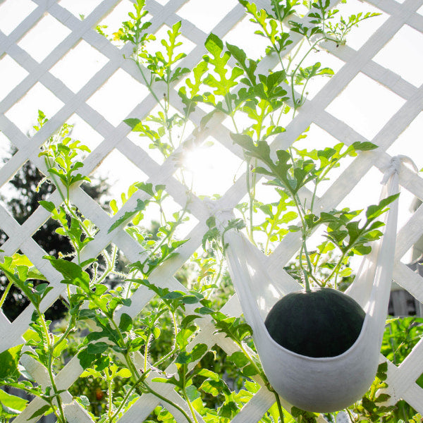 artificial plants to trellis