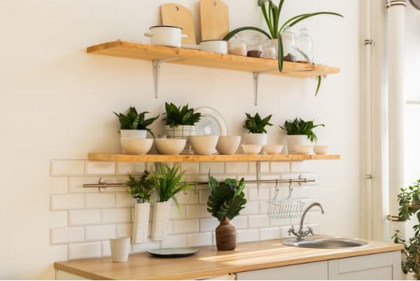 Plant filled kitchen