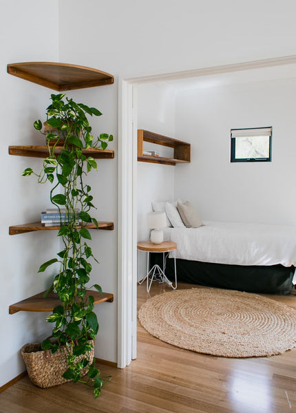 bedroom plant shelf