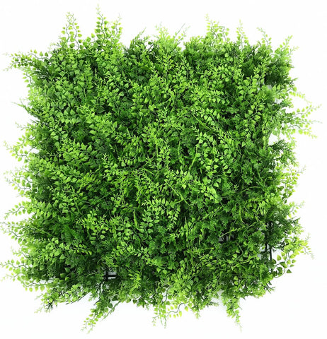 fern living wall