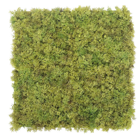 moss living wall